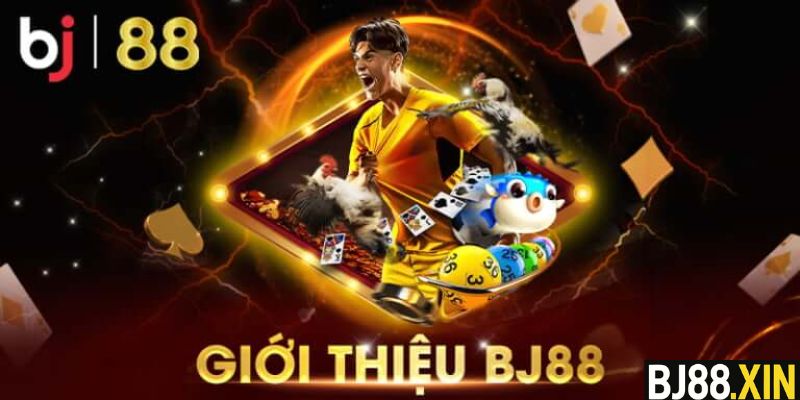 Tổng quan về nền tảng cá cược trực tuyến BJ88